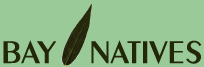 www.baynatives.com