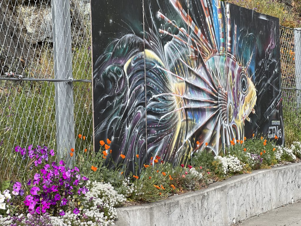 mural and plants on Innes Avenue